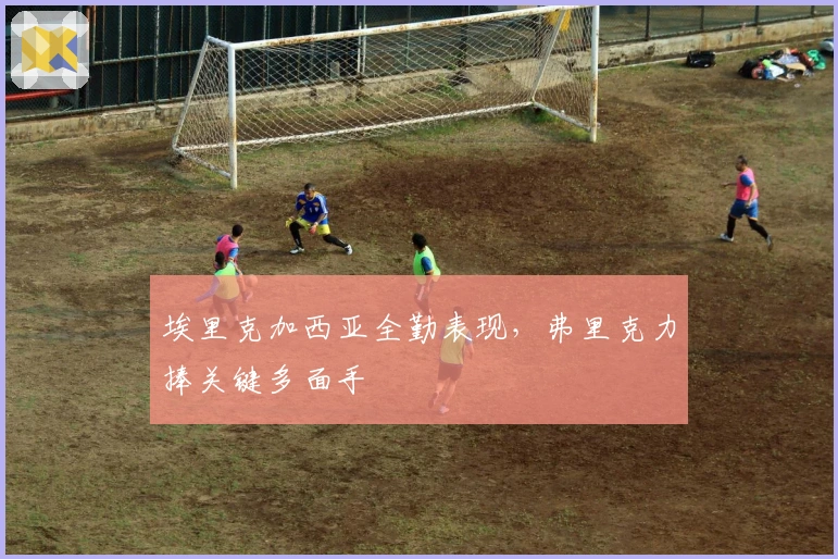 埃里克加西亚全勤表现，弗里克力捧关键多面手